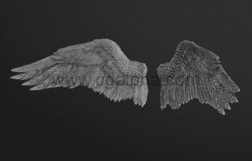 羽毛翅膀3D模型 Wings 3d Printable