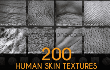 200 种人体皮肤纹理 200 Human Skin Textures