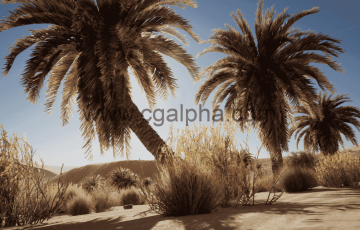 【UE4】沙漠植被 Desert Vegetation