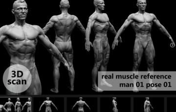模型资产 – 3D扫描真实肌肉解剖Man01姿势01