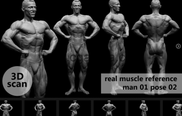 模型资产 – 3D扫描真实肌肉解剖Man01姿势02