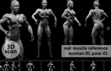 模型资产 – 3D扫描真实肌肉解剖woman01姿势01