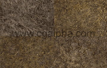 Unity – 干草和泥纹理 Dry Grass and Mud Photo-Texture
