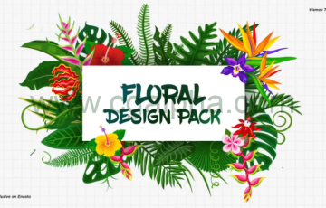 AE模板 – 花卉植物元素生长动画婚礼宣传视频工具包