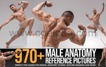 970张男性造型肌肉运动姿势参考图片