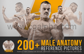 200张男性肌肉人体解剖动态姿势参考图片 Male Anatomy Reference Pictures