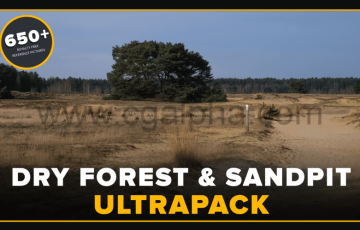 650+干燥森林和海滩参考图片 Ultrapack