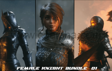 【UE4】女骑士 Female Knight Bundle 01