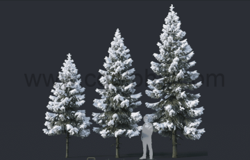 模型资产 – 3D雪景冷杉树 3D Spruce 04