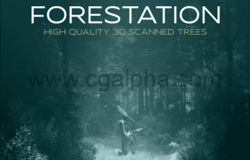 Blender插件 –  高质量3D扫描树木 Forestation – High Quality 3d Scanned Trees