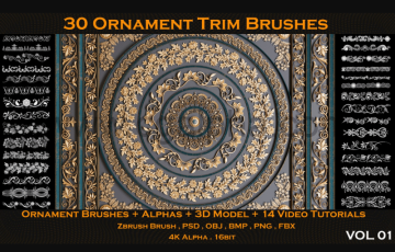 30 个装饰笔刷3D模型  30 Ornament Trim Brushes