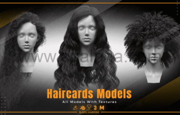 模型资产 – 带纹理的发卡模型 Haircards Models with Textures