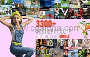 3300 种图片素材 InkyDeals – 3300+ Prolific Overlays Bundle