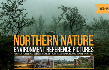 1000 张北方​​自然环境参考图片  Northern Nature Environment Reference Pictures