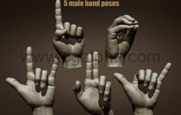 模型资产 – 手部姿势动作模型 5 Male hands