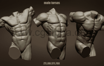 模型资产 – 男性躯干姿势模型 3 Male torso poses