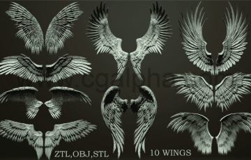 10 个高精度翅膀3d模型 10 Wings 3d model ZTL+OBJ+STL
