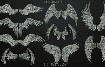 11 种酷炫高精度翅膀 3D模型 11 Wings 3D model ZTL,OBJ,STL