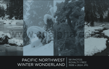 191 张太平洋西北冬季仙境 PACIFIC NORTHWEST WINTER WONDERLAND | PHOTOPACK
