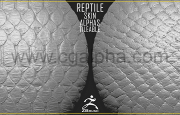 爬行动物皮肤纹理贴图 Reptile Skin Alphas Tileable (ZBrush, 2K)