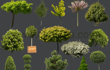 15 个PNG格式的树木和灌木蒙版 TREE & BUSH CUTOUTS in PNG format