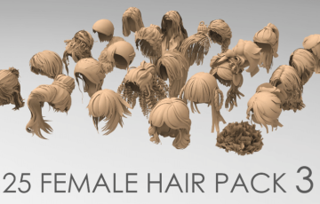 模型资产 – 25种女性头发基础模型 25 Female hair pack 3