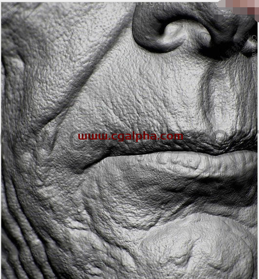 40组影视级生物角色皮肤纹理贴图合集