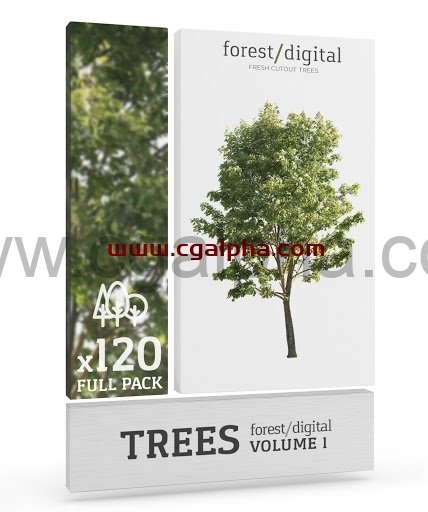 森林/数字卷 1 –树木