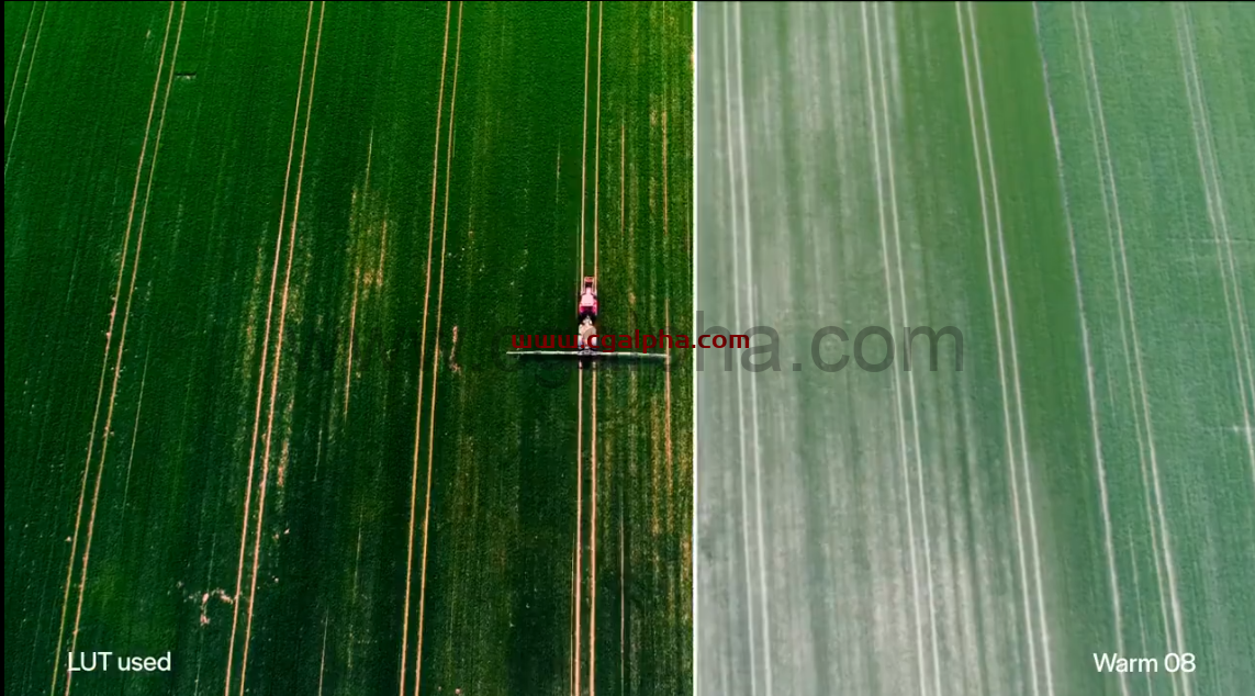 【Lut】100个黑白婚礼户外LUTs调色预设(FCPX/PR/PS/AE/达芬奇)