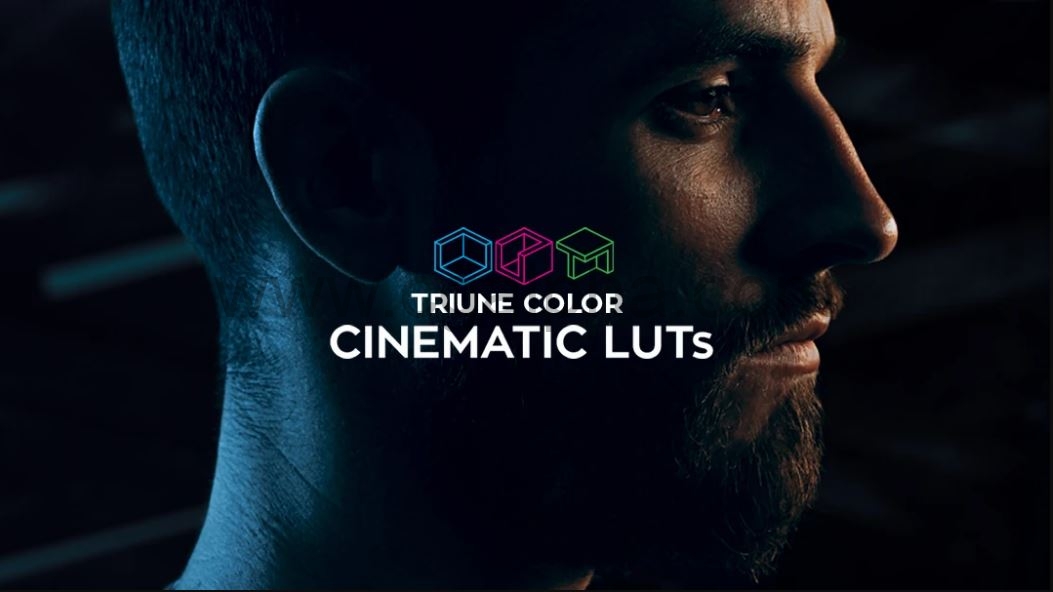 【LUT】38 种电影大片 Cinematic LUTs V1(FCPX/达芬奇/AE/Pr等)