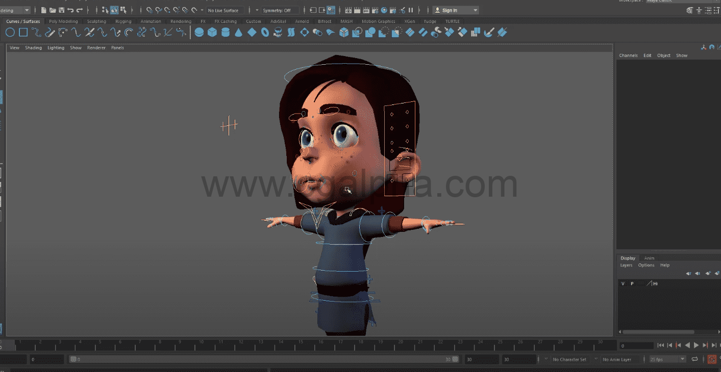 Maya插件-绑定插件角色脸部绑定AdvancedSkeleton 5.810 + 完整使用教程win/mac/liunx