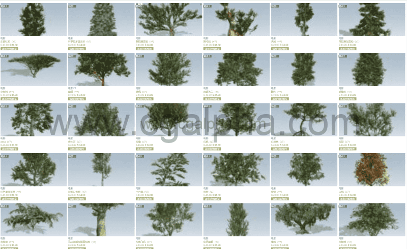 Spreedtree树V7- speedtree影视素材库