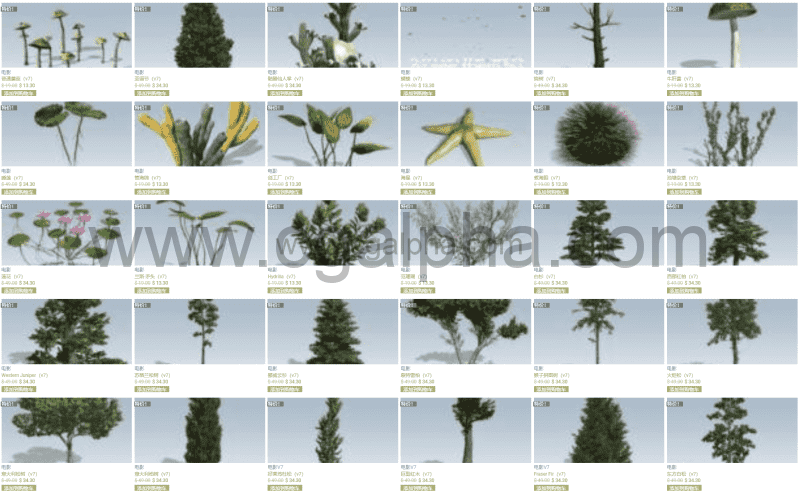 Spreedtree树V7- speedtree影视素材库