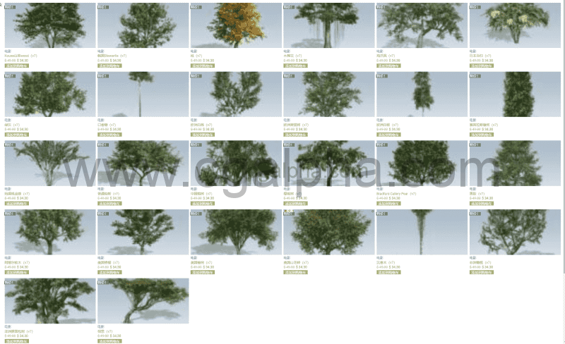 Spreedtree树V7- speedtree影视素材库