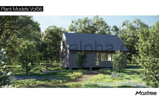 Maxtree – Plant Models Vol 56