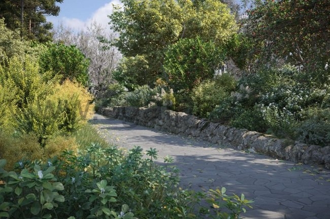 Maxtree – Plant Models Vol 76