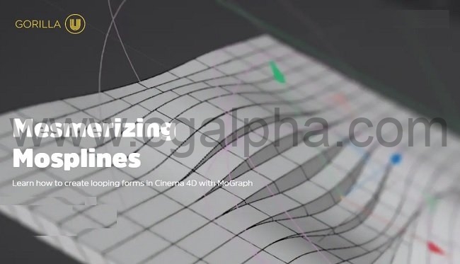 C4D教程-GSG灰猩猩Mosplines循环动画全面讲解