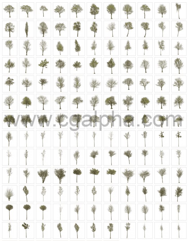 5套春季夏季针叶树角树秋树PNG高清图片1-5卷