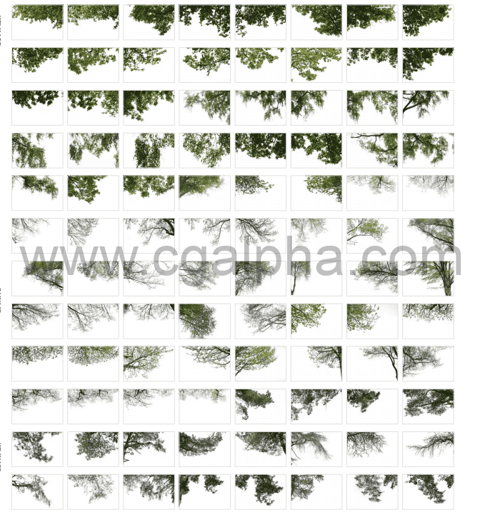5套春季夏季针叶树角树秋树PNG高清图片1-5卷