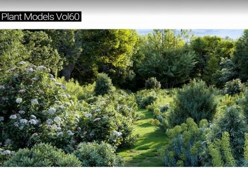 Maxtree – Plant Models Vol. 60