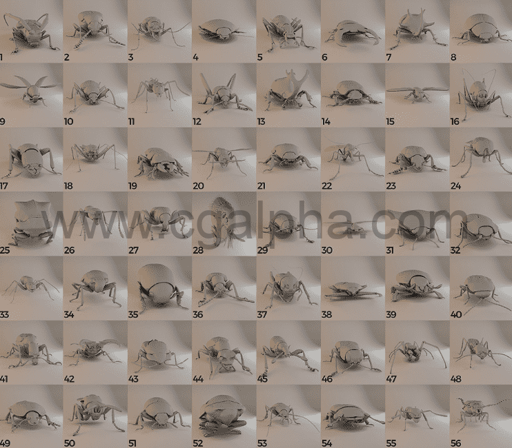 60组三维蜜蜂甲虫昆虫3D模型