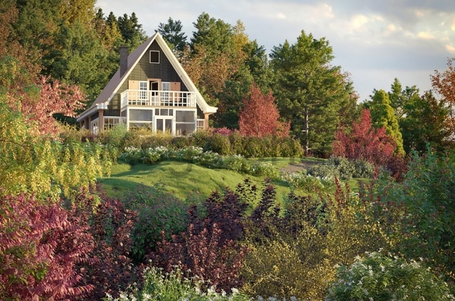 Maxtree – Plant Models Vol 81