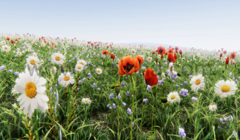 Unity-写实花草花卉模型包Realistic Grass Flowers Pack 1.0