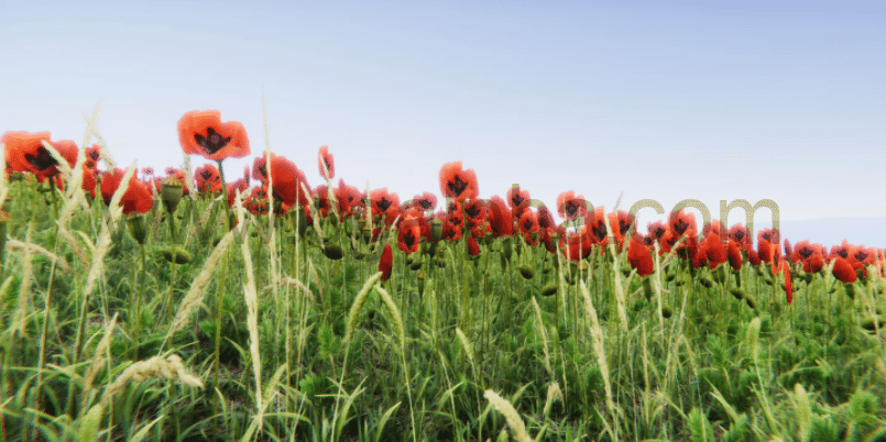 Unity-写实花草花卉模型包Realistic Grass Flowers Pack 1.0