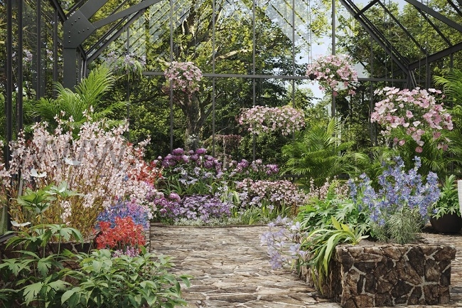 Maxtree – Plant Models Vol. 64