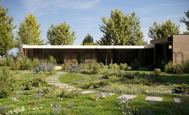 Maxtree – Plant Models Vol. 51