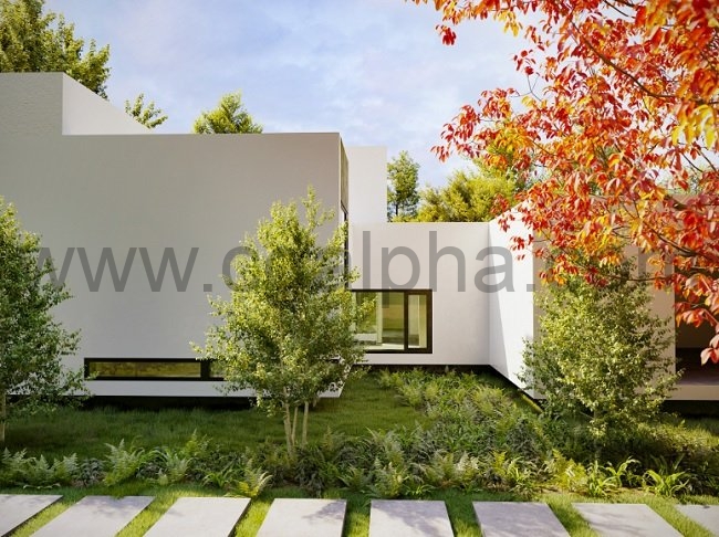 Maxtree – Plant Models Vol. 49