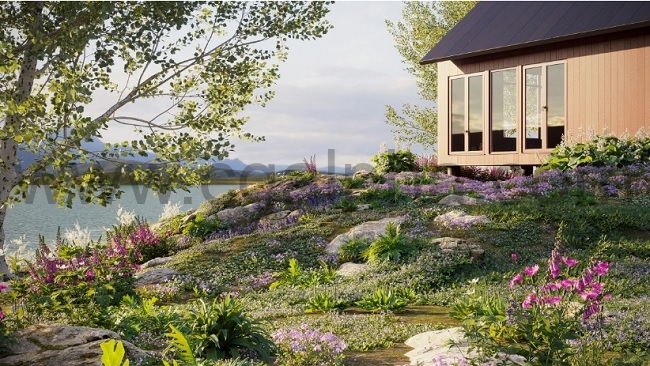 Maxtree – Plant Models Vol 41