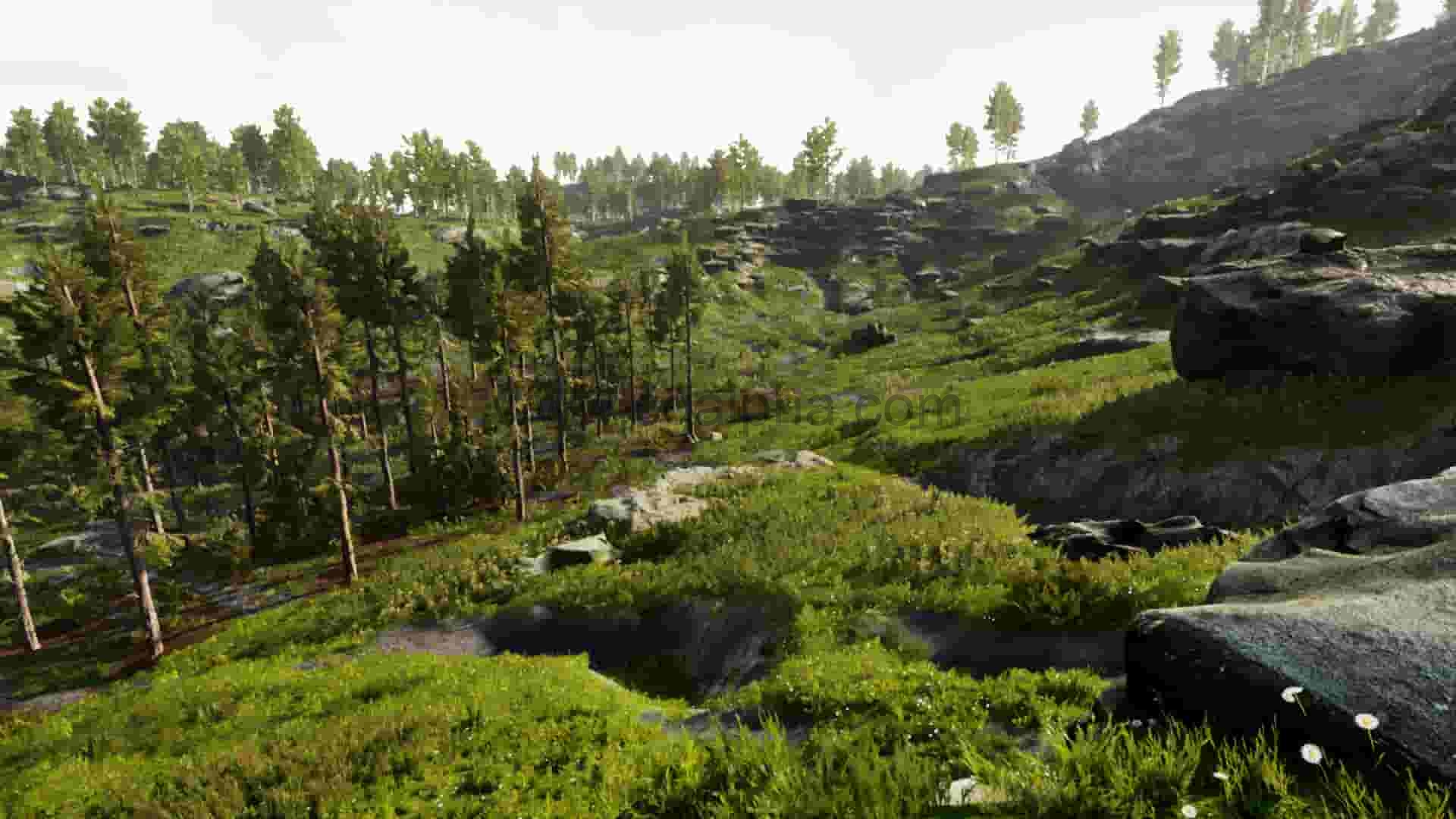UE4插件-专业自然环境创建工具Landscape Pro 3 – Automatic Natural Environment Creation Tool