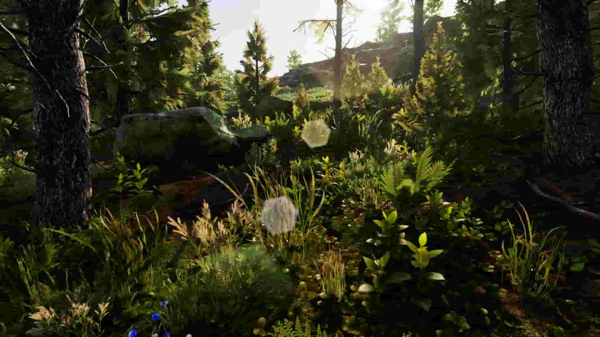 UE4插件-专业自然环境创建工具Landscape Pro 3 – Automatic Natural Environment Creation Tool